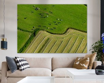 Weilanden met koeien, slootjes en vers en gemaaid gras geven een grafisch beeld van Sky Pictures Fotografie
