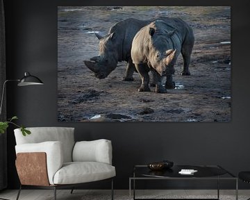Two rhinos on a muddy field by Joost Adriaanse