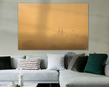 Silhouette der Altstadt von Regensburg mit Dom im dunstigen Morgenlicht von Robert Ruidl