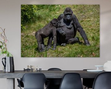 Gorilla's, moeder met jong die aan het bedelen is van Joost Adriaanse