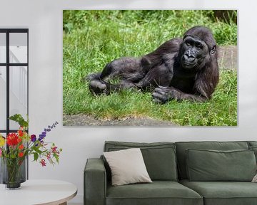 Gorilla jong die languit ligt in het gras van Joost Adriaanse