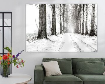 Winterlandschaft, verschneite Landstraße mit Reihen von Bäumen in schwarz und weiß. von Ron van der Stappen