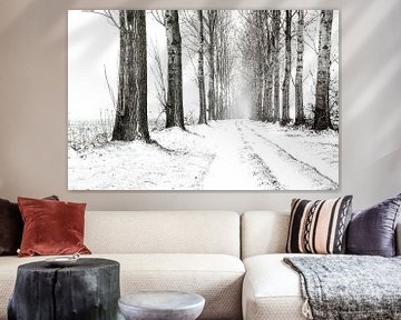 Winterlandschap, besneeuwde landweg met bomenrijen in zwart-wit. van Ron van der Stappen
