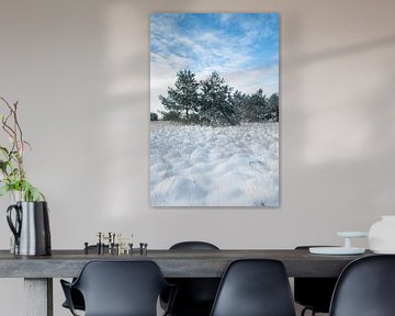 Paysage de neige de Kampina sur Ruud Engels