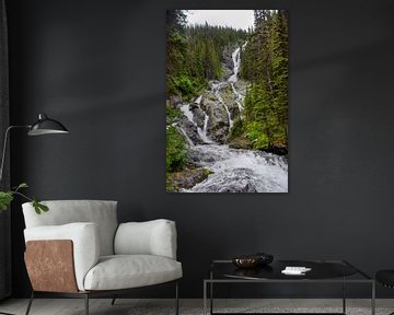 Wasserfall im Westen Kanadas von Manon Verijdt