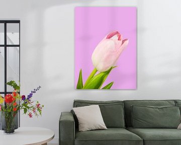 Roze tulp bloem van Katrin May