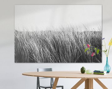 Schwarz-Weiß-Fotografie von Dünengras in den Dünen bei Katwijk aan Zee | Strandfotografie in den Nie von Evelien Lodewijks