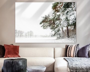 Pine trees on estate in snow. by Ron van der Stappen