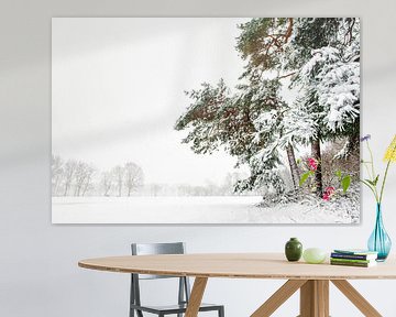 Dennenbomen op landgoed in de sneeuw. van Ron van der Stappen
