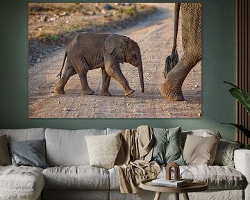 Baby olifant volgt van Peter Michel