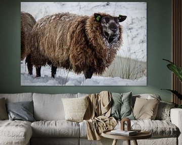 Schafe im Schnee von Ton van Waard - Pro-Moois