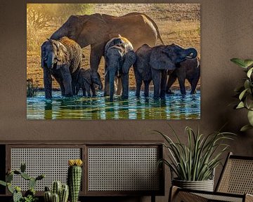 Tsavo olifanten van Peter Michel