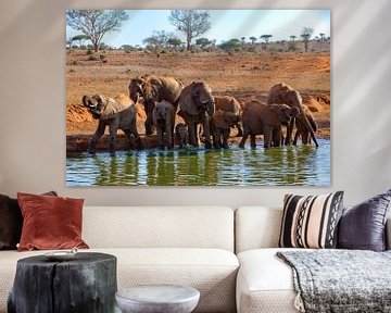 Waterhole olifanten van Peter Michel