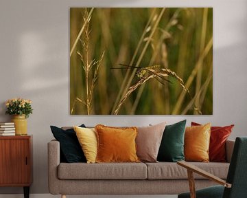 een helikopter daalde