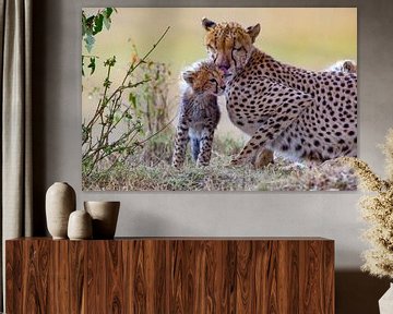 Cheetah zorgen van Peter Michel