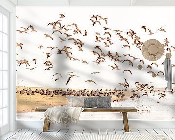 Flock of birds on the beach by VIDEOMUNDUM