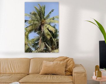 Dadelpalm bij Salalah van Alphapics