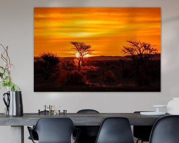 Zonsondergang in de savanne van VIDEOMUNDUM