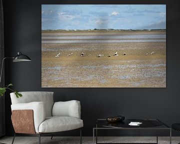 Seagulls in the Wadden Sea by Philipp Klassen