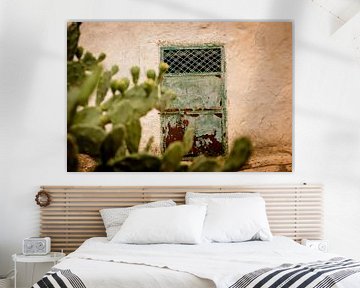 Alte Tür und ein Kaktus von Gonnie van Roij