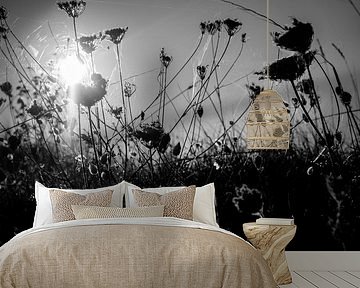 Zomer in Italië van Gonnie van Roij