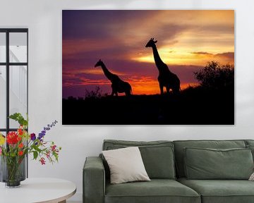 Giraffen zonsondergang van Peter Michel