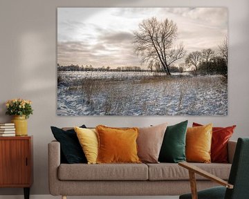 Nederlands landschap in de winter van Ruud Morijn