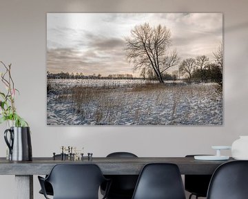 Niederländische Landschaft im Winter