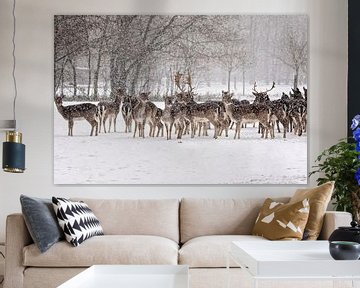 Herten in de sneeuw