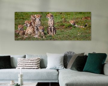 Cheetah familie van Peter Michel