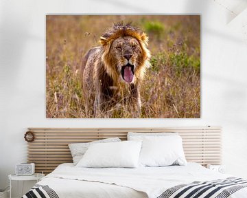 Yawning Lionman van Peter Michel