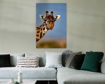 kauwende giraffe van Peter Michel