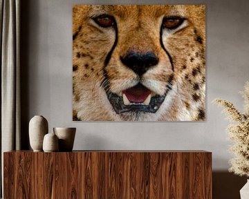 Cheetah ogen van Peter Michel