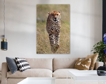 razende cheetah van Peter Michel