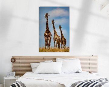3 giraffen van Peter Michel