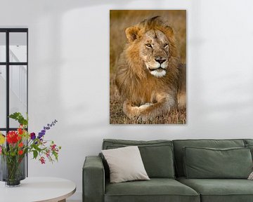 Mooie leeuwenman van Peter Michel