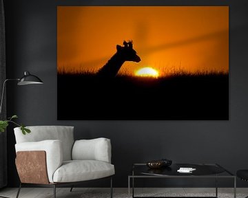 Giraffe in de zonsondergang van Peter Michel
