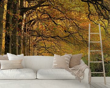 Brug naar de Herfst van M DH