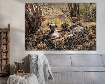 Small is yawning by Peter Michel