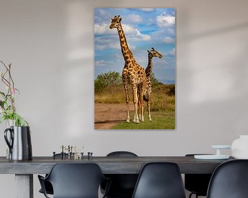 Giraffe Duo van Peter Michel
