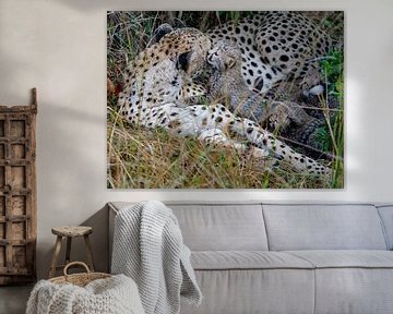 Cheetah met baby van Peter Michel