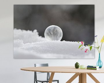 Bevroren zeepbel in de sneeuw
