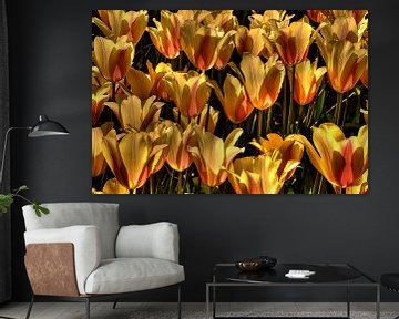 Tulpen in Gelb von Mario de Lijser