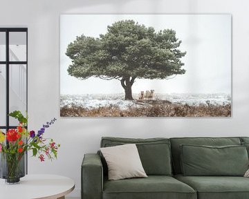 Tree with sheep van René Vierhuis