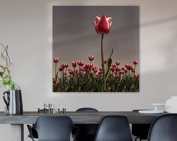 Tulpen stilleven van Mario de Lijser