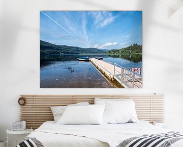 Footbridge at the Titisee in the Black Forest by Animaflora PicsStock