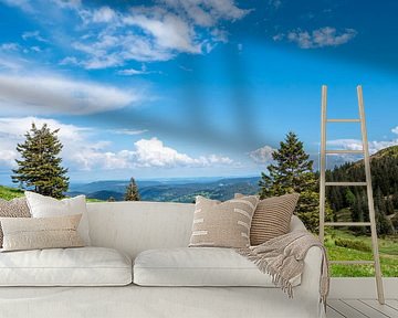 Uitzicht vanaf de Feldberg in het Zwarte Woud van Animaflora PicsStock