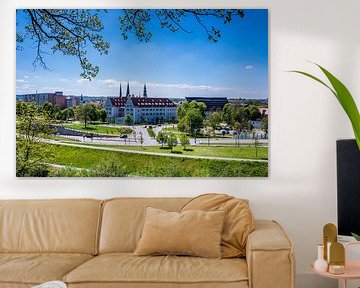 Skyline von Zwickau in Sachsen von Animaflora PicsStock