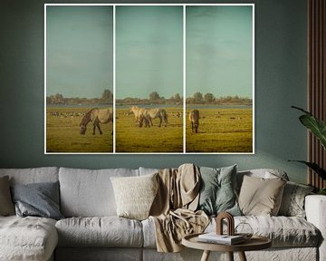 lauwersmeer triptychon 18