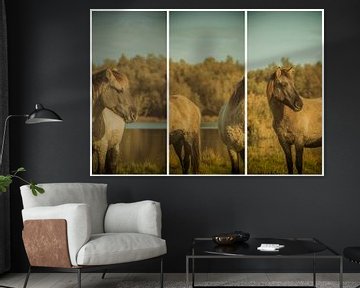 lauwersmeer triptychon 20 von anne droogsma